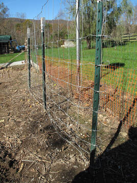 EIGHT-FOOT POLE BEAN TRELLIS